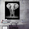 Elephant Canvas Painting - Vermilton