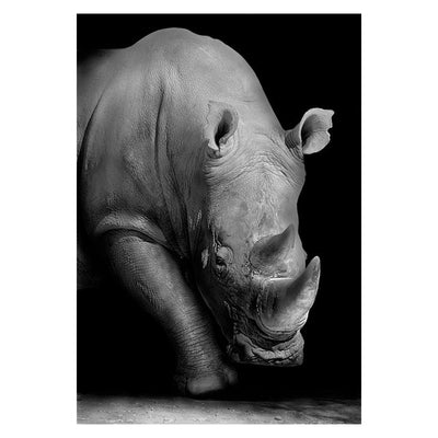 Rhino Canvas Painting - Vermilton