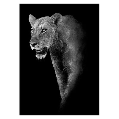 Lioness Canvas Painting - Vermilton