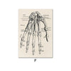 Human Anatomy Vintage Canvas Poster - Vermilton